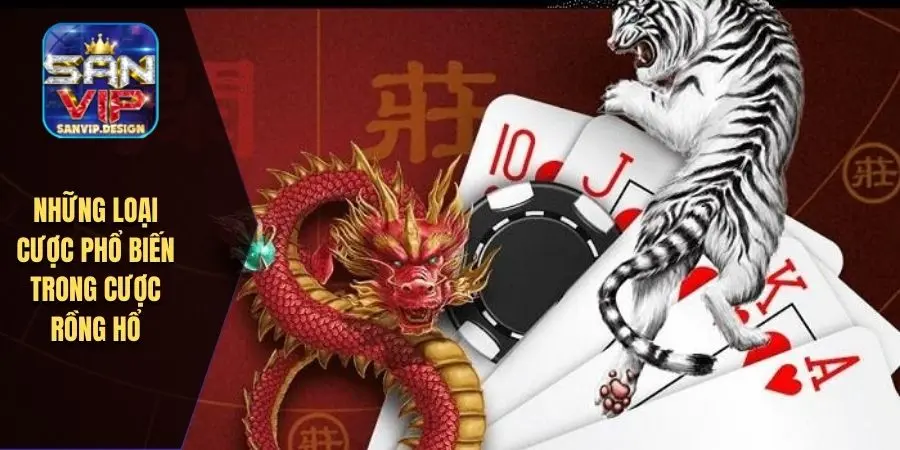 Những loại cược phổ biến trong cược rồng hổ